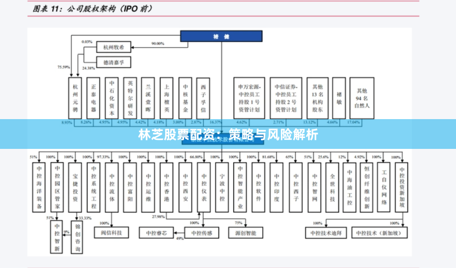 林芝股票配资:策略与风险解析