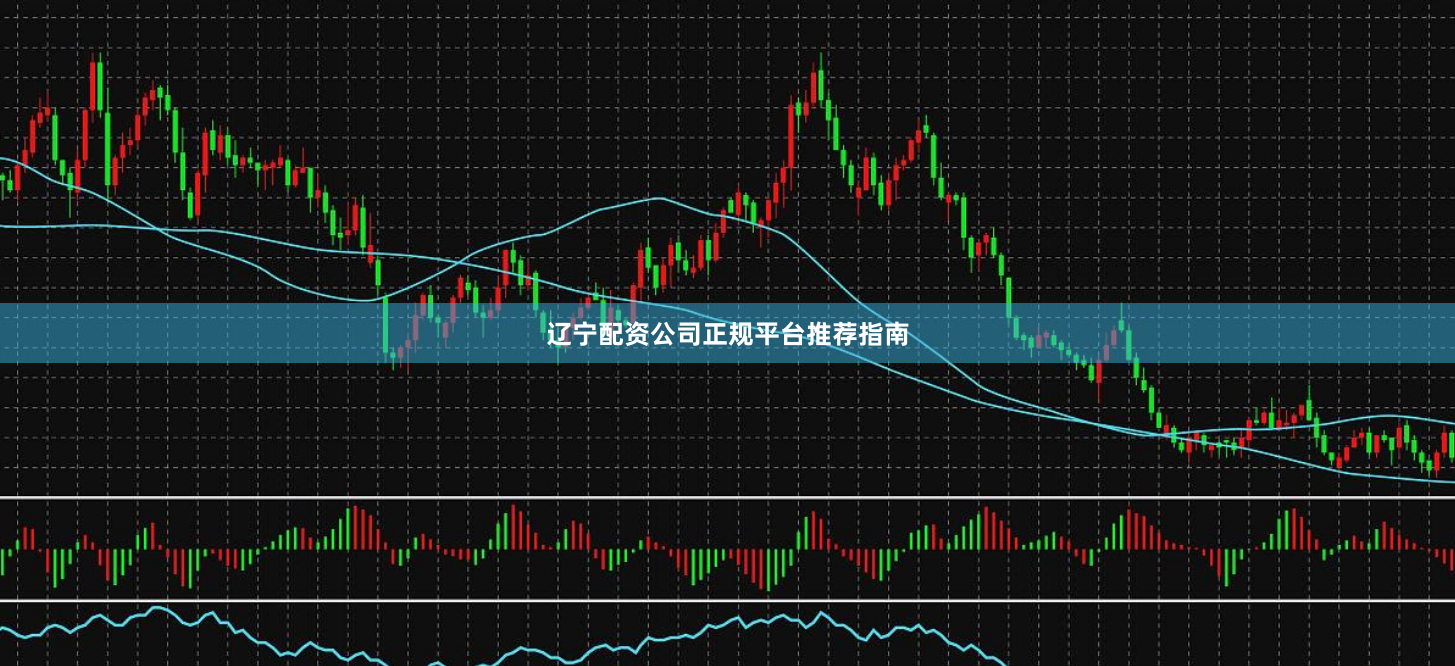 辽宁配资公司正规平台推荐指南